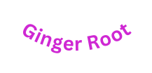 Ginger Root